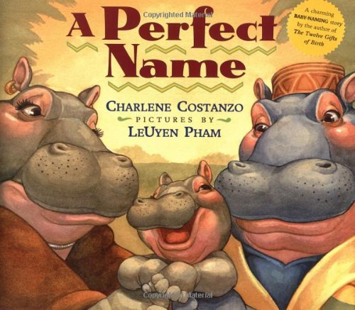 Imagen de archivo de A Perfect Name a la venta por Better World Books