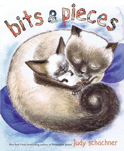 Imagen de archivo de Bits & Pieces a la venta por Gulf Coast Books