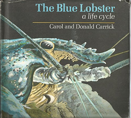 Stock image for The Blue Lobster for sale by The Unskoolbookshop