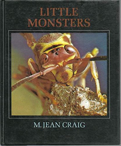 Imagen de archivo de Little Monsters a la venta por Idaho Youth Ranch Books