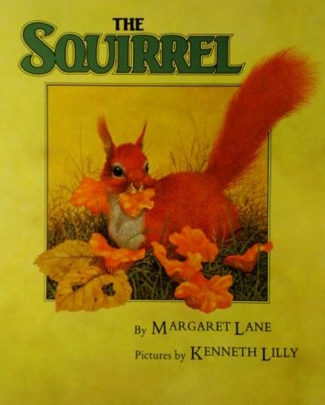 Beispielbild fr The Squirrel zum Verkauf von SecondSale