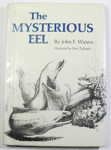 Beispielbild fr The Mysterious Eel zum Verkauf von Ergodebooks