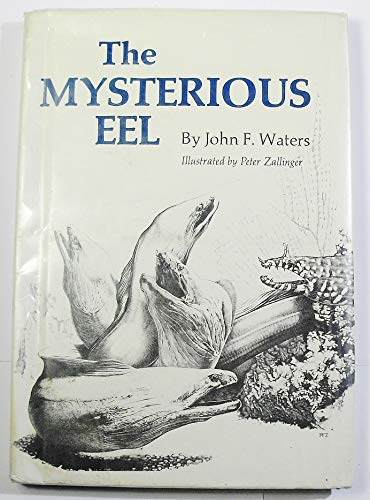 Stock image for The Mysterious Eel [Apr 01, 1973] Waters, John Frederick for sale by Sperry Books