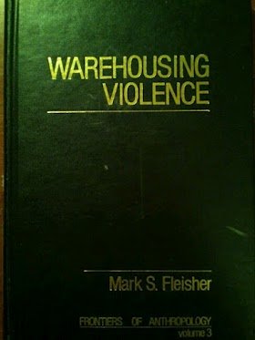 Warehousing Violence - Mark E. Fleisher