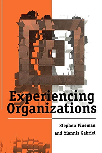 9780803978713: Experiencing Organizations