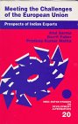 Imagen de archivo de Meeting the Challenges of the European Union: Prospects of Indian Exports (Alternatives in Development) a la venta por Phatpocket Limited