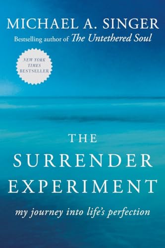 Stock image for The Surrender Experiment: My Journey into Lifes Perfection for sale by Zoom Books Company