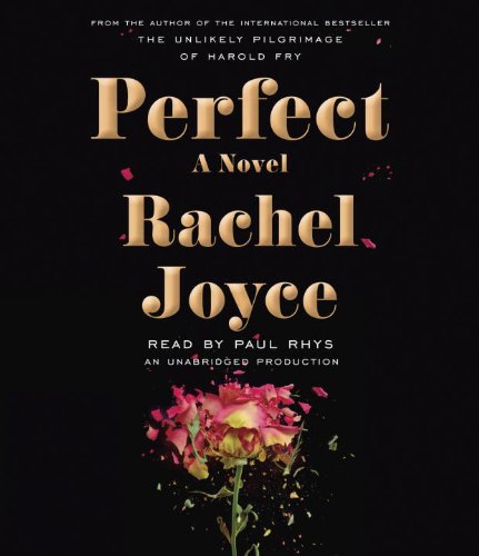 Imagen de archivo de Perfect: A Novel a la venta por The Yard Sale Store