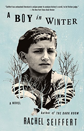 9780804168809: A Boy in Winter: A Novel (Vintage International)
