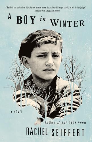 Stock image for A Boy in Winter: A Novel (Vintage International) for sale by St Vincent de Paul of Lane County