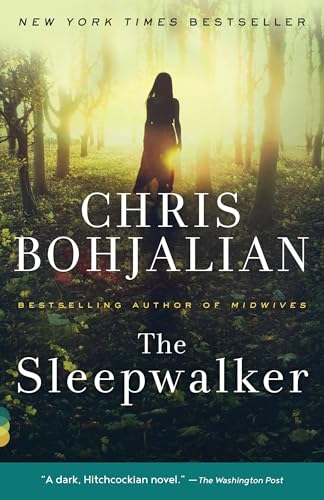 Stock image for The Sleepwalker: A Novel (Vintage Contemporaries) for sale by SecondSale