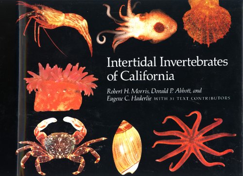 Imagen de archivo de Intertidal Invertebrates of California a la venta por Santa Fe Used Books