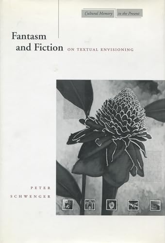Imagen de archivo de Fantasm and Fiction: On Textual Envisioning (Cultural Memory in the Present) a la venta por Midtown Scholar Bookstore