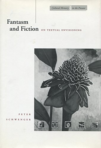 Imagen de archivo de Fantasm and Fiction: On Textual Envisioning (Cultural Memory in the Present) a la venta por HPB-Red
