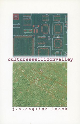 9780804744287: Cultures@SiliconValley