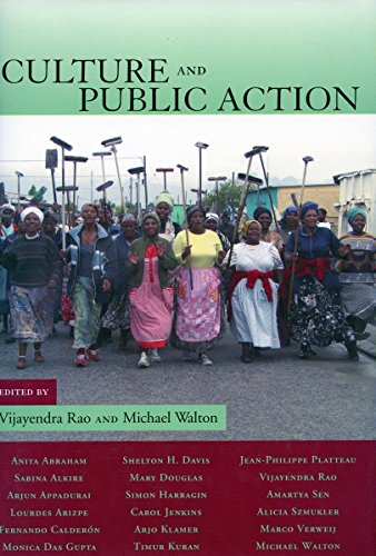 9780804747875: Culture and Public Action