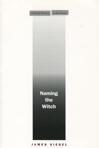 Beispielbild fr Naming the Witch zum Verkauf von Blackwell's