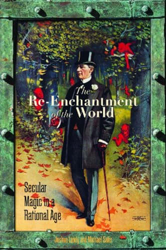 Beispielbild fr The Re-Enchantment of the World zum Verkauf von Blackwell's