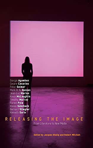 9780804761376: Releasing the Image: From Literature to New Media