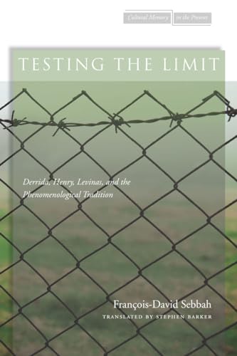 Stock image for Testing the Limit Derrida, Henry, Levinas, and the Phenomenological Tradition for sale by Michener & Rutledge Booksellers, Inc.