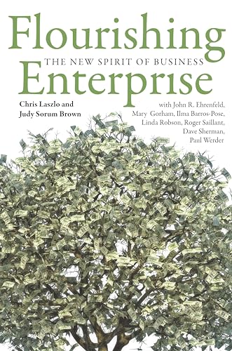9780804789134: Flourishing Enterprise: The New Spirit of Business