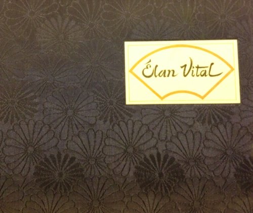 Stock image for Elan Vital: A Chapbook of Oriental Poetry and Sumi-E Painting for sale by M. W. Cramer Rare and Out Of Print Books