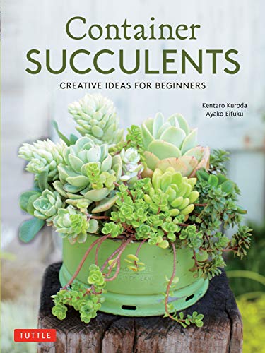 9780804851053: Container Succulents: Creative Ideas for Beginners