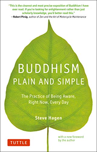 Stock image for Buddhism Plain and Simple: The Practice of Being Aware Right Now, Every Day for sale by Goodwill Books