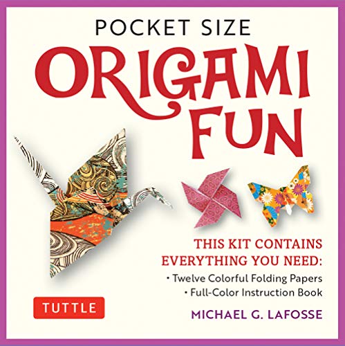 Imagen de archivo de Pocket Size Origami Fun Kit: Contains Everything You Need to Make 7 Exciting Paper Models a la venta por SecondSale