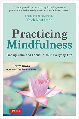 Imagen de archivo de Practicing Mindfulness: Finding Calm and Focus in Your Everyday Life a la venta por Books for Life