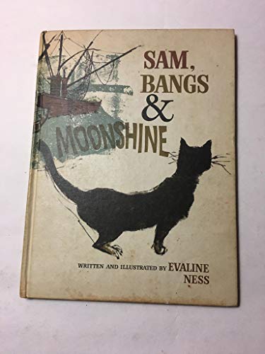 9780805003147: Sam Bangs and Moonshine