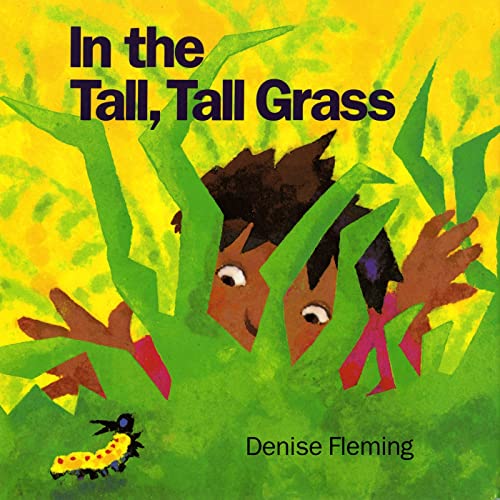 9780805016352: In the Tall, Tall Grass