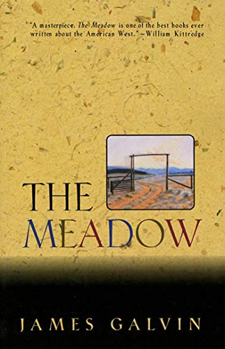 Beispielbild fr The Meadow zum Verkauf von WorldofBooks