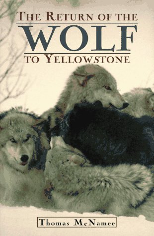 Imagen de archivo de The Return of the Wolf to Yellowstone a la venta por Redux Books