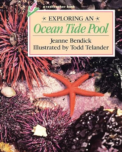 Imagen de archivo de Exploring an Ocean Tide Pool (Redfeather Book) a la venta por Wonder Book