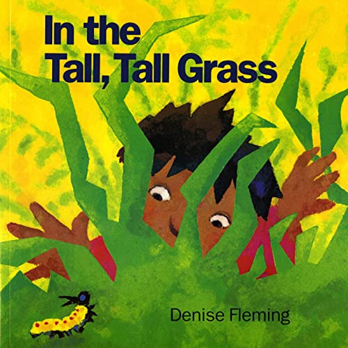 9780805039412: In the Tall, Tall Grass