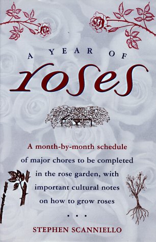 A Year Of Roses