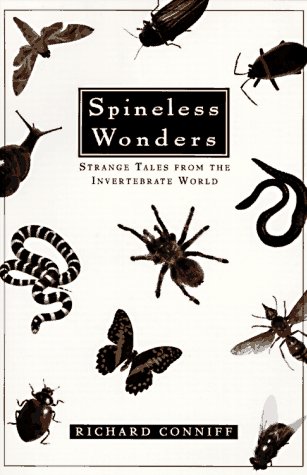 9780805055313: Spineless Wonders: Strange Tales from the Invertebrate World