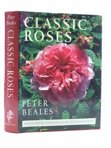 Beispielbild fr Classic Roses: An Illustrated Encyclopedia and Grower's Manual of Old Roses, Shrub Roses and Climbers zum Verkauf von BooksRun