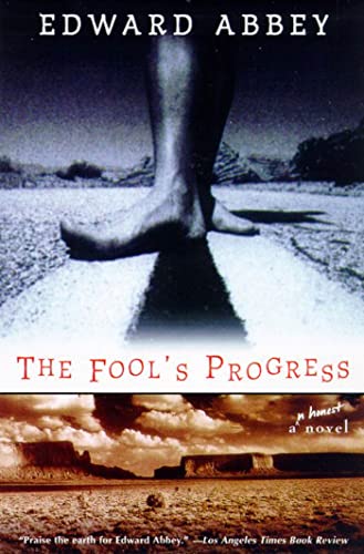 9780805057911: Fool's Progress: An Honest Novel