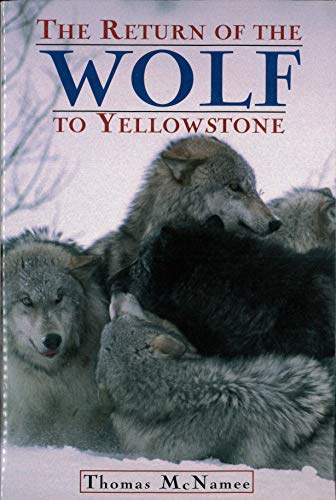 Stock image for The Return of the Wolf to Yellowstone for sale by Better World Books