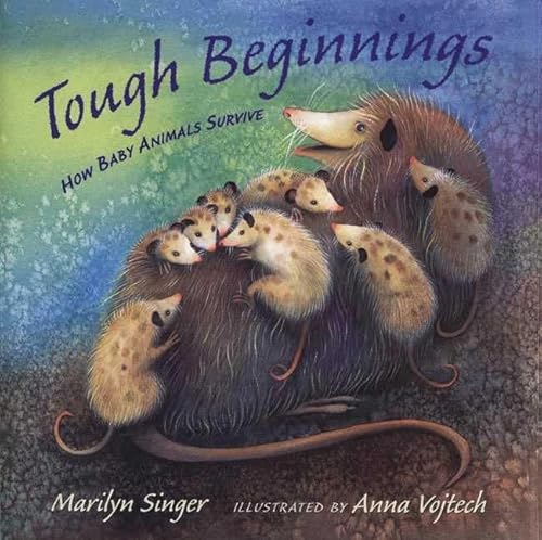 Stock image for Tough Beginnings : How Baby Animals Survive for sale by Better World Books: West