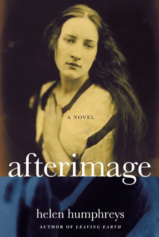 Beispielbild fr Afterimage: A Novel zum Verkauf von Wonder Book