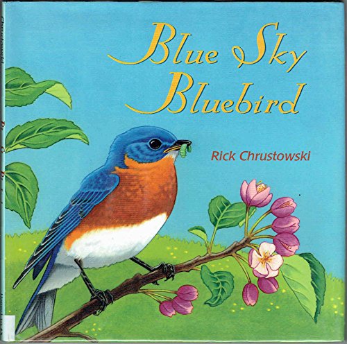 Beispielbild fr Blue Sky Bluebird zum Verkauf von Better World Books