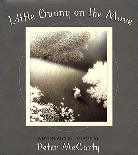 9780805072594: Little Bunny on the Move (An Owlet Book)