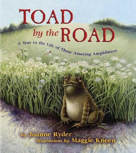 Stock image for Toad by the Road: A Year in the Life of These Amazing Amphibians for sale by Wonder Book