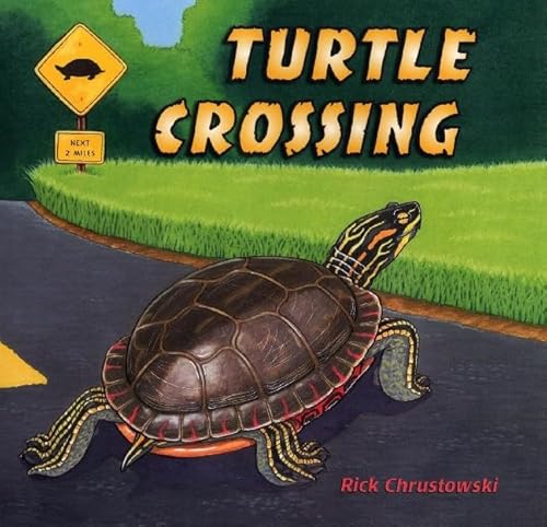 Imagen de archivo de Turtle Crossing a la venta por Library House Internet Sales