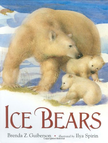 Beispielbild fr Ice Bears zum Verkauf von Better World Books