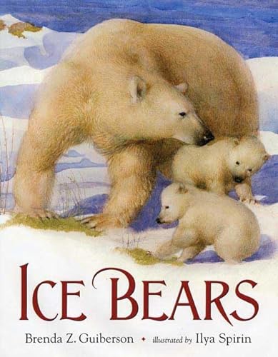 9780805076073: Ice Bears