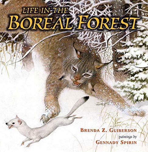 LIFE IN THE BOREAL FOREST (NEW, SIGNED, FIRST PRINTING) Museum Quality Drawings by SPIRIN, GENNADY (SIGNED), Illustrated by; GUIBERSON, BRENDA Z., Written by: New Hardcover (2009) 1st Edition, Signed by Illustrator(s) | LIFE IN THE BOREAL FOREST (NEW, SIGNED, FIRST PRINTING) Museum Quality Drawings by SPIRIN, GENNADY (SIGNED), Illustrated by; GUIBERSON, BRENDA Z., Written by: New Hardcover (2009) 1st Edition, Signed by Illustrator(s) |